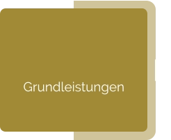 Grundleistungen